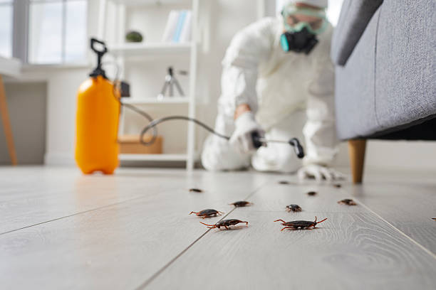 Commercial Kitchen Cockroach Control in Pottstown